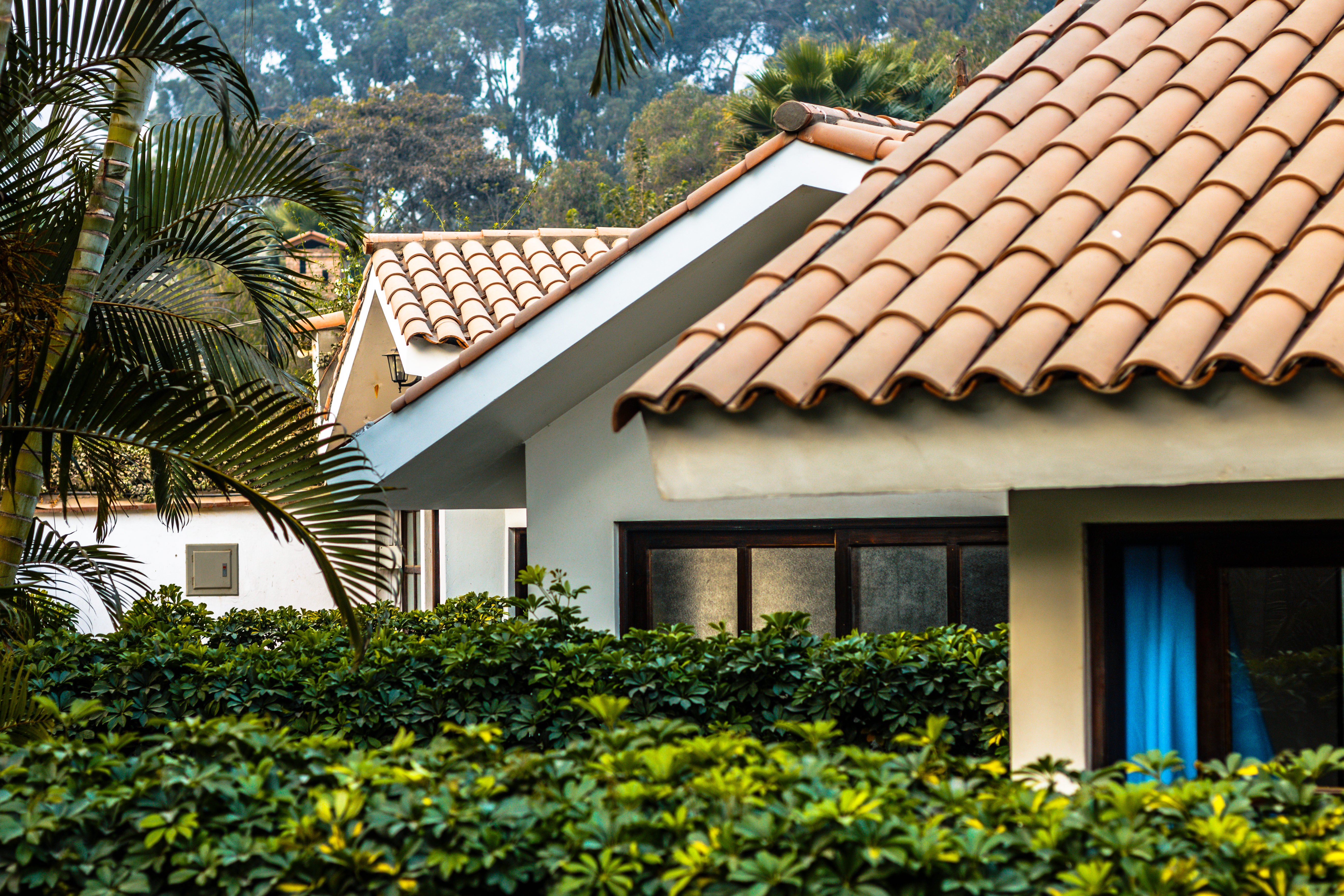 Instalaciones Girasoles bungalows Santa Eulalia