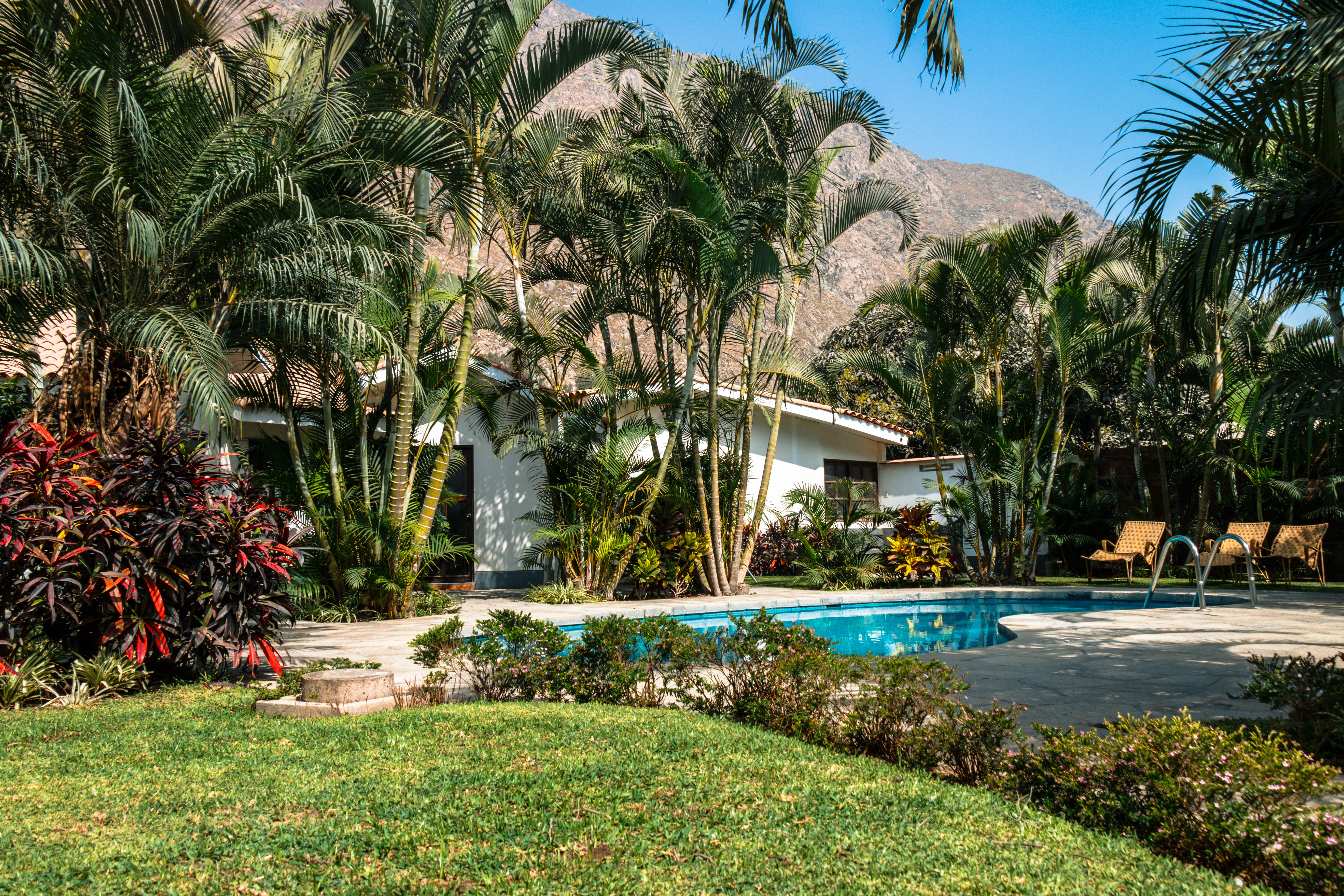 Piscina y jardines con vista a los cerros, Girasoles Santa Eulalia